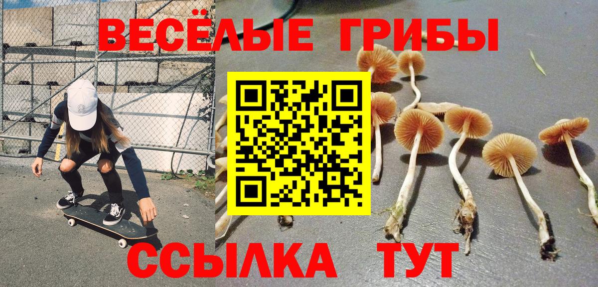 Псилоцибиновые грибы MAGIC MUSHROOMS Кызыл
