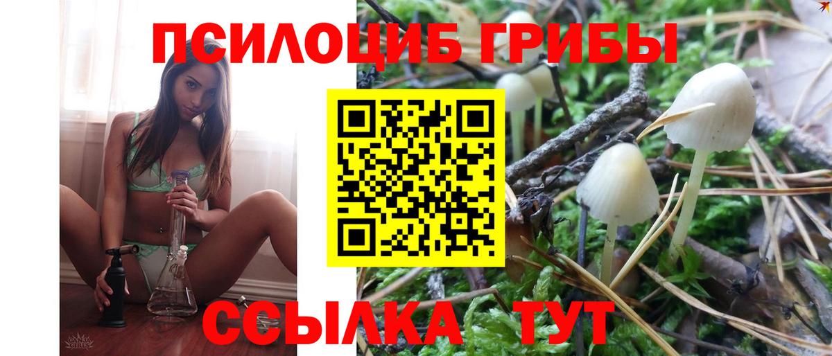 Кызыл  Галлюциногенные грибы Magic Shrooms  Вход с VPN 